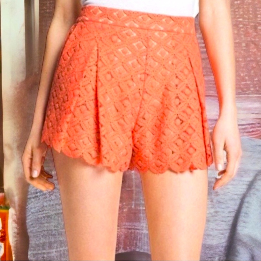 Vince Camuto Coral Lace High Waisted Shorts Sz 12
